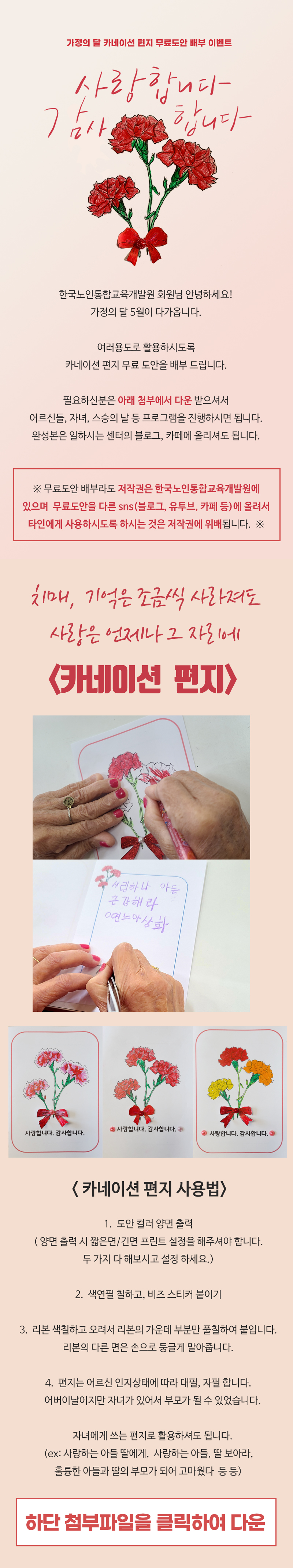 카네이션new.jpg